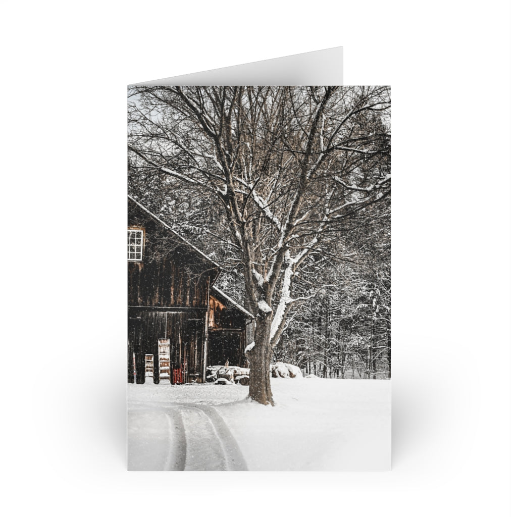 A Sunday Afternoon, Greeting Cards (10 Pack)