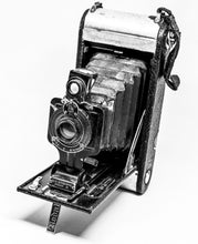 Load image into Gallery viewer, Kodak

