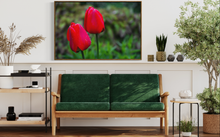 Load image into Gallery viewer, Two Rainy Tulips

